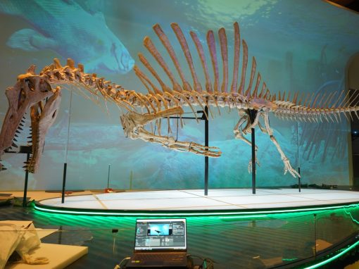 AV Stumpfl adds to the roar of projection magic at dinosaur exhibition